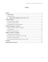 Finansinės rizikos atsiradimo priežastys 3 puslapis