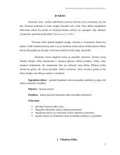 Finansinės rizikos atsiradimo priežastys 4 puslapis