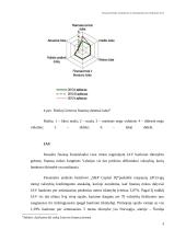 Finansinės rizikos atsiradimo priežastys 9 puslapis