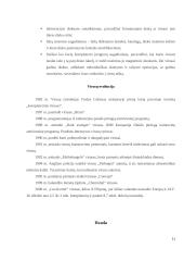 Referatas Kompiuteriniai virusai 11 puslapis