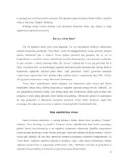 Referatas Kompiuteriniai virusai 6 puslapis