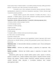 Lietuvos valstybės biudžetas, pajamų formavimas ir jų paskirstymas 4 puslapis