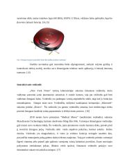 Kaip investicijos į būsto inovatyvumą gali supaprastinti žmogaus gyvenimą 9 puslapis