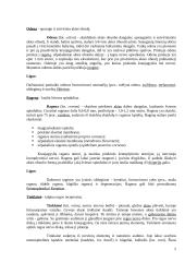 Ausų ir akių sandara 5 puslapis