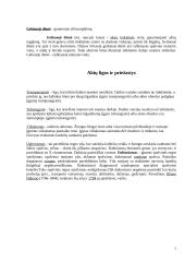 Ausų ir akių sandara 7 puslapis