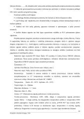 AB „Klaipėdos nafta“ tamsių naftos produktų talpyklų parko įrenginių automatizavimo projektas 19 puslapis