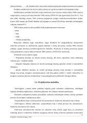 AB „Klaipėdos nafta“ tamsių naftos produktų talpyklų parko įrenginių automatizavimo projektas 6 puslapis