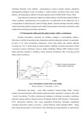 „Swedbank“ grupės bankų veiklos palyginamoji analizė Baltijos šalyse globalios finansų krizės kontekste  15 puslapis