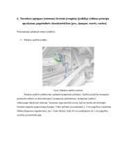 Automobilių elektroninės valdymo sistemos 8 puslapis