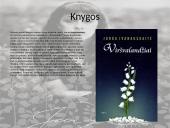 Jurga Ivanauskaitė skaidrės 6 puslapis