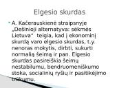 Skurdo problema Lietuvoje ir pasaulyje 13 puslapis