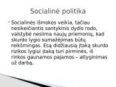 Skurdo problema Lietuvoje ir pasaulyje 14 puslapis