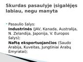 Skurdo problema Lietuvoje ir pasaulyje 16 puslapis