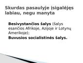 Skurdo problema Lietuvoje ir pasaulyje 17 puslapis