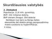 Skurdo problema Lietuvoje ir pasaulyje 20 puslapis