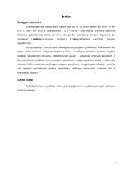 Rentgeno fluorescencinė analizė 2 puslapis