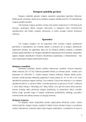 Rentgeno fluorescencinė analizė 4 puslapis