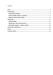 Viešosios politikos formavimas ir įgyvendinimas globalizmo sąlygomis 2 puslapis