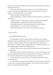 Viešosios politikos formavimas ir įgyvendinimas globalizmo sąlygomis 11 puslapis