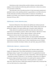Viešosios politikos formavimas ir įgyvendinimas globalizmo sąlygomis 12 puslapis