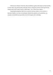 Viešosios politikos formavimas ir įgyvendinimas globalizmo sąlygomis 13 puslapis