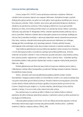 Viešosios politikos formavimas ir įgyvendinimas globalizmo sąlygomis 14 puslapis