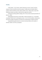 Viešosios politikos formavimas ir įgyvendinimas globalizmo sąlygomis 16 puslapis