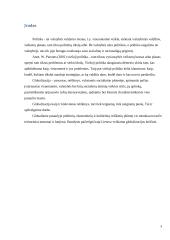 Viešosios politikos formavimas ir įgyvendinimas globalizmo sąlygomis 3 puslapis