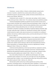 Viešosios politikos formavimas ir įgyvendinimas globalizmo sąlygomis 8 puslapis