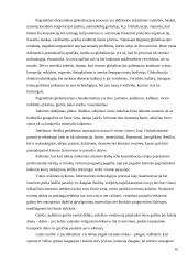 Viešosios politikos formavimas ir įgyvendinimas globalizmo sąlygomis 10 puslapis