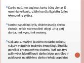 Darbo rinkos problemos Lietuvos ekonomikoje 11 puslapis