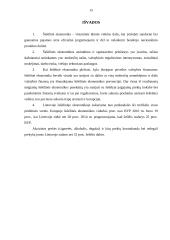 Šešėlinė ekonomika: samprata, priežastys, pasekmės 15 puslapis