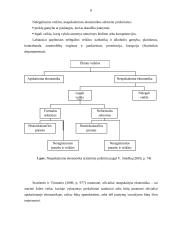 Šešėlinė ekonomika: samprata, priežastys, pasekmės 6 puslapis