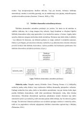 Šešėlinė ekonomika: samprata, priežastys, pasekmės 8 puslapis