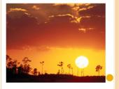 Skaidrės apie saulę 11 puslapis