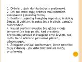 Skaidrės apie saulę 8 puslapis