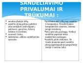 Kompleksinė logistika – (3PL) 13 puslapis