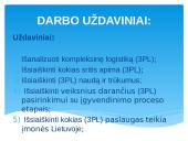 Kompleksinė logistika – (3PL) 4 puslapis