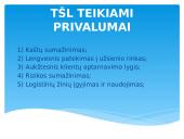 Kompleksinė logistika – (3PL) 8 puslapis