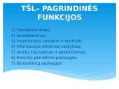 Kompleksinė logistika – (3PL) 10 puslapis