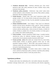 Informacijos Sistemos. Baigiamosios praktikos ataskaita. 6 puslapis