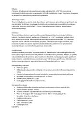 Integriniai mikrograndynai 4 puslapis