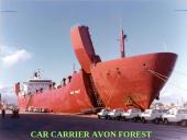 Roro terminalai ir jų krovos įrangos tipai 12 puslapis