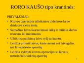 Roro terminalai ir jų krovos įrangos tipai 18 puslapis