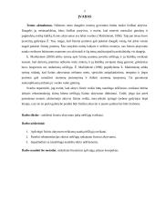 Fizinio aktyvumo įtaka nėščiųjų sveikatai 2 puslapis