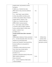 Fizinio aktyvumo įtaka nėščiųjų sveikatai 16 puslapis