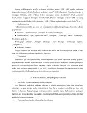 Sveikatos turizmo plėtros galimybės 11 puslapis