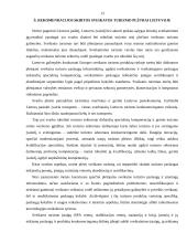 Sveikatos turizmo plėtros galimybės 13 puslapis