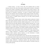 Sveikatos turizmo plėtros galimybės 17 puslapis