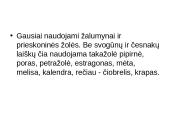 Azerbaidžiano patiekalai 9 puslapis